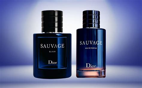 jean paul gaultier le male vs dior sauvage|Dior Sauvage vs le male elixir.